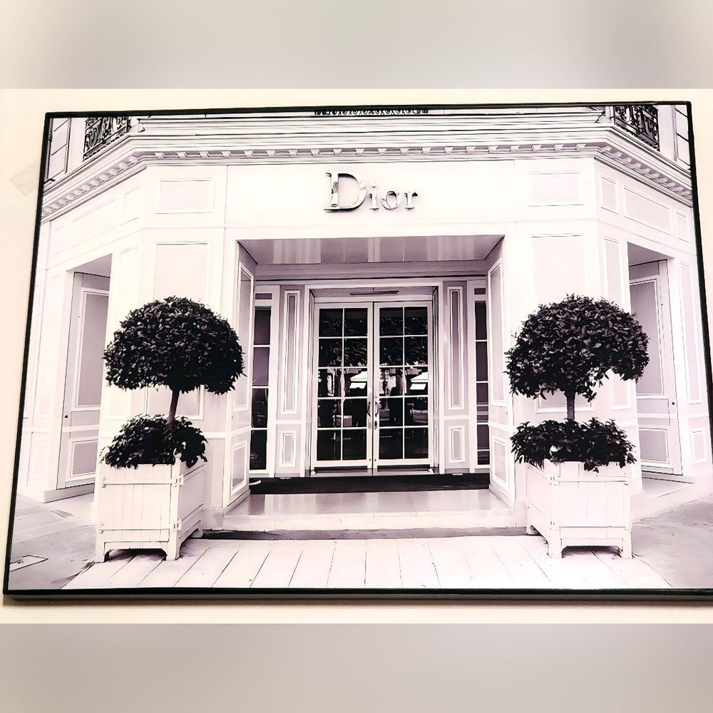 Dior  8 1/2"x11" Framed wall art